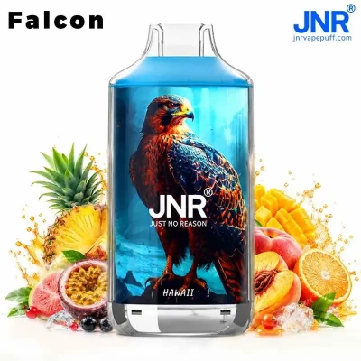 JNR Falcon 16K 16000 Puffs Vape Jetable Rechargeable